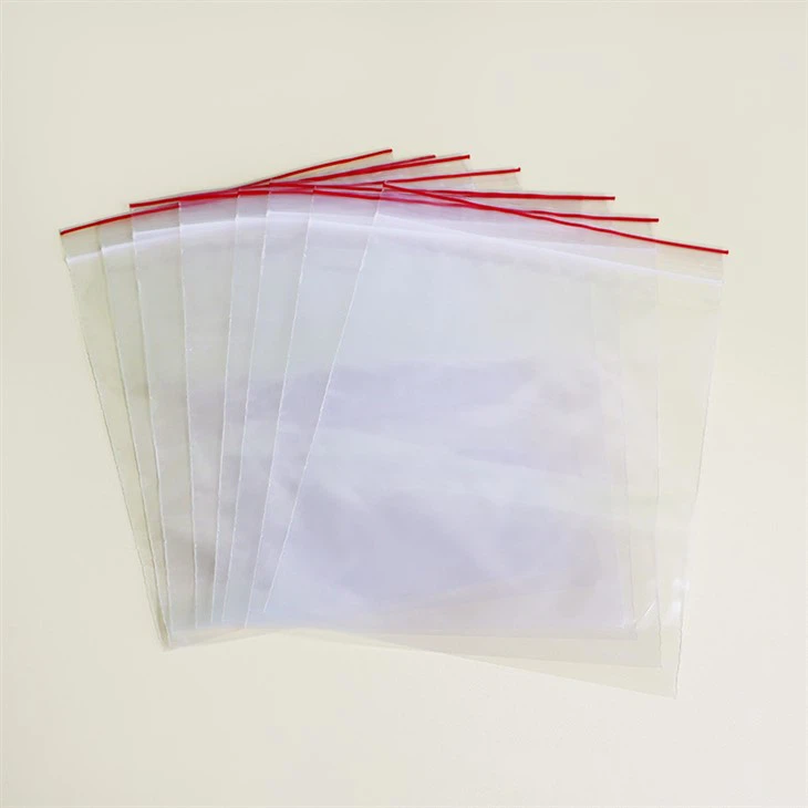small resealable plastic bags