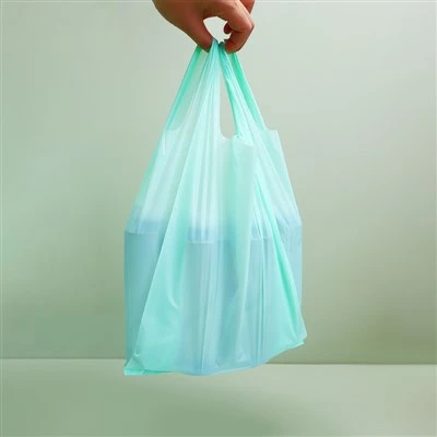 Beg Beli-belah Plastik Hijau